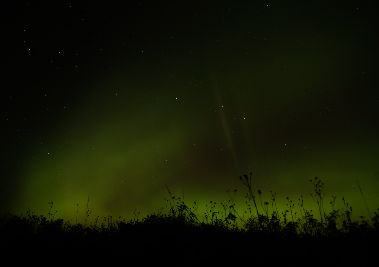 Photo de nature par Simon Bernier-Bilodeau