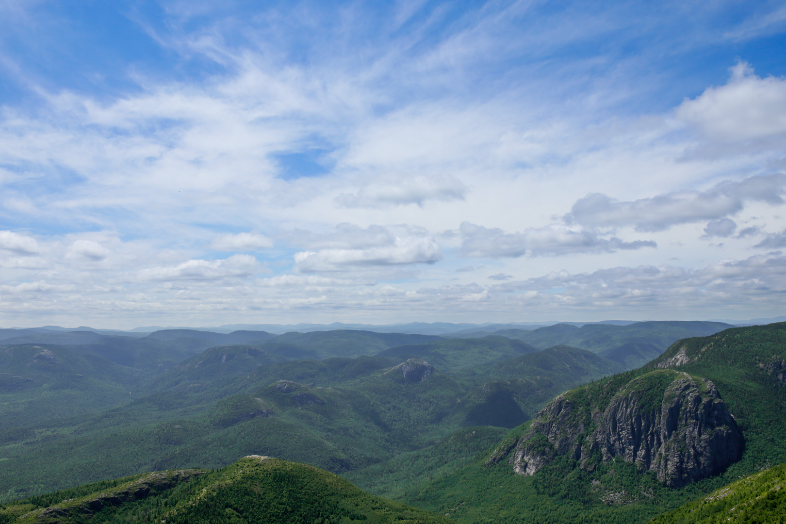 Photo de nature par Simon Bernier-Bilodeau