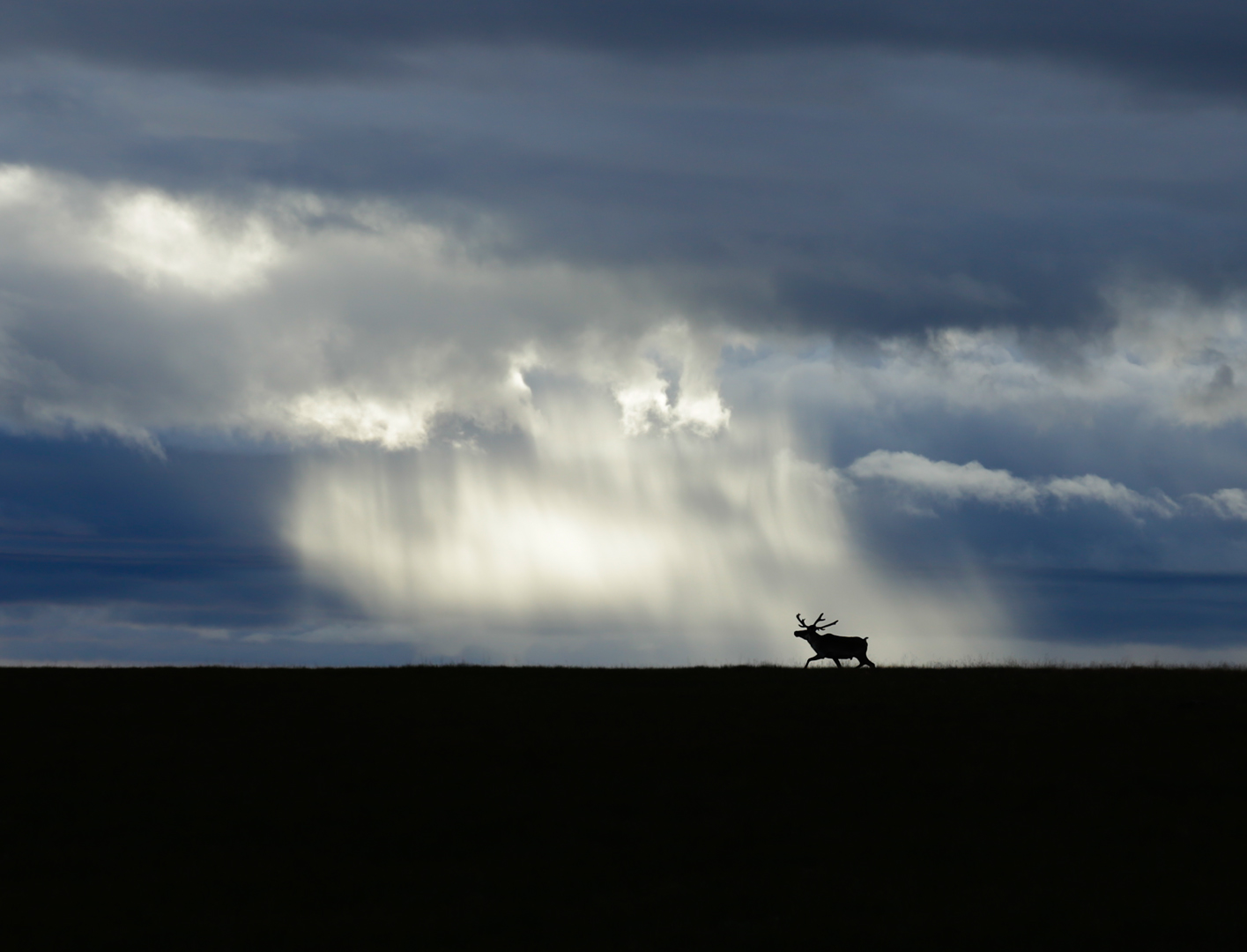 Photo de nature par Simon Bernier-Bilodeau