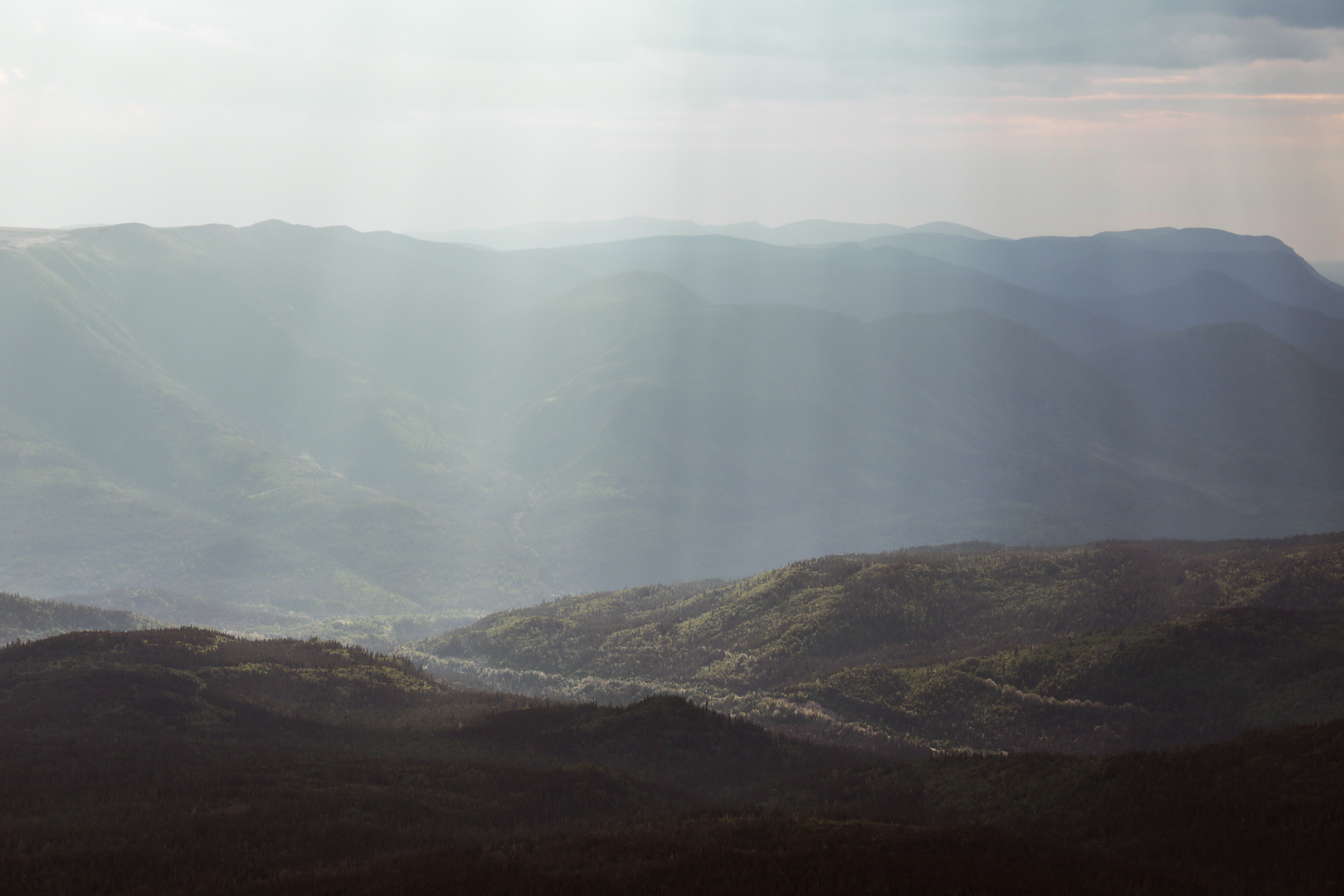 Photo de nature par Simon Bernier-Bilodeau