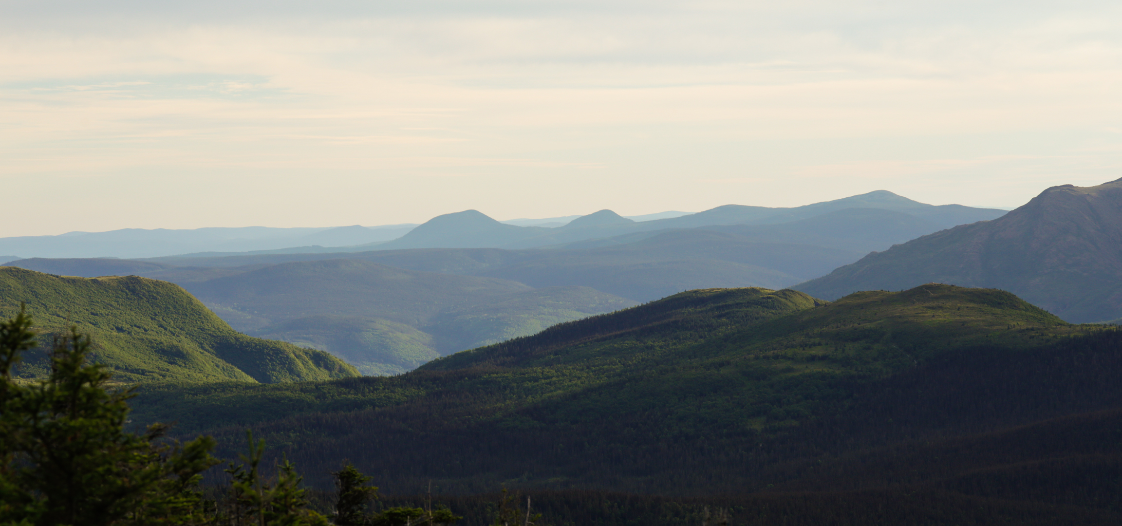 Photo de nature par Simon Bernier-Bilodeau