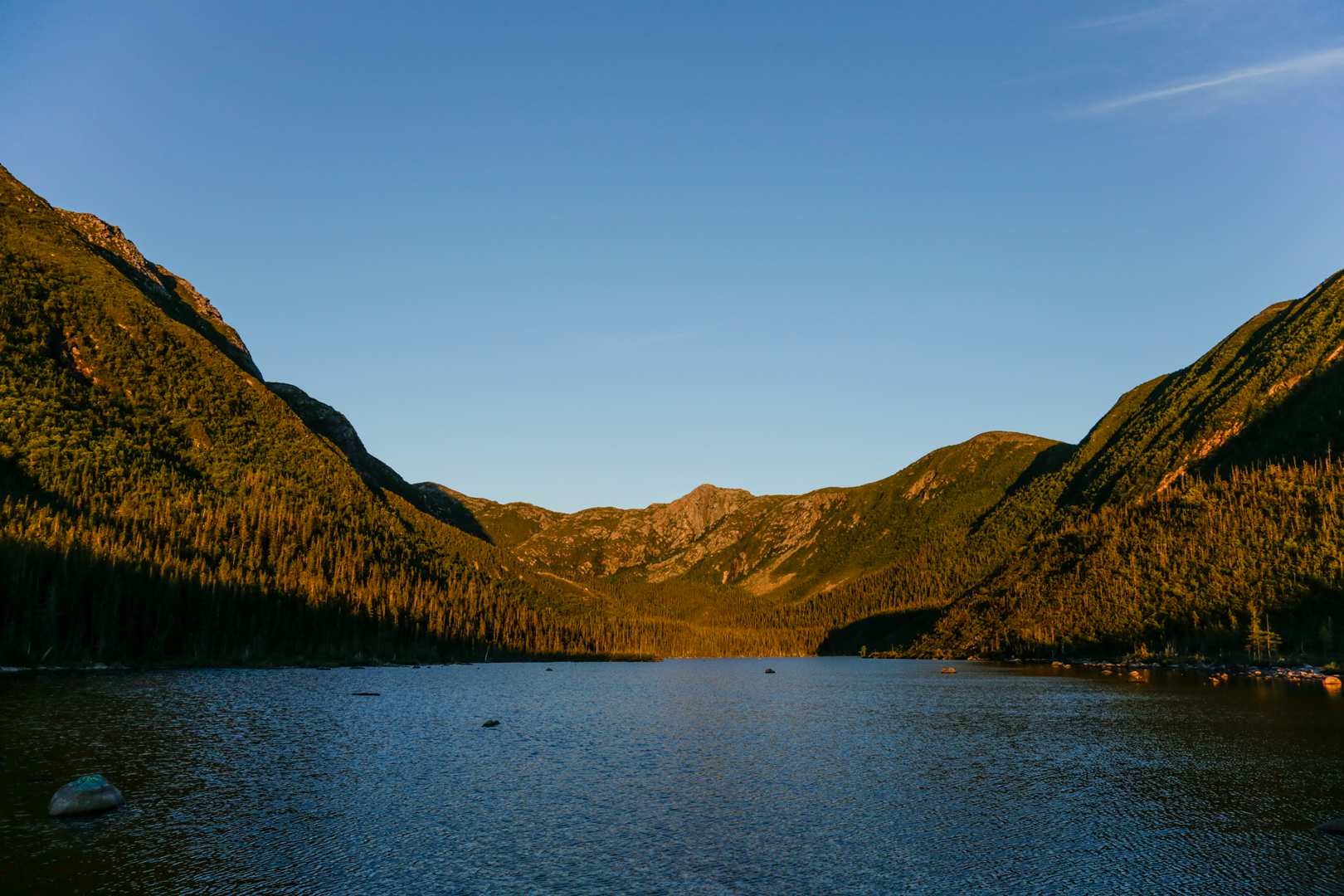 Photo de nature par Simon Bernier-Bilodeau