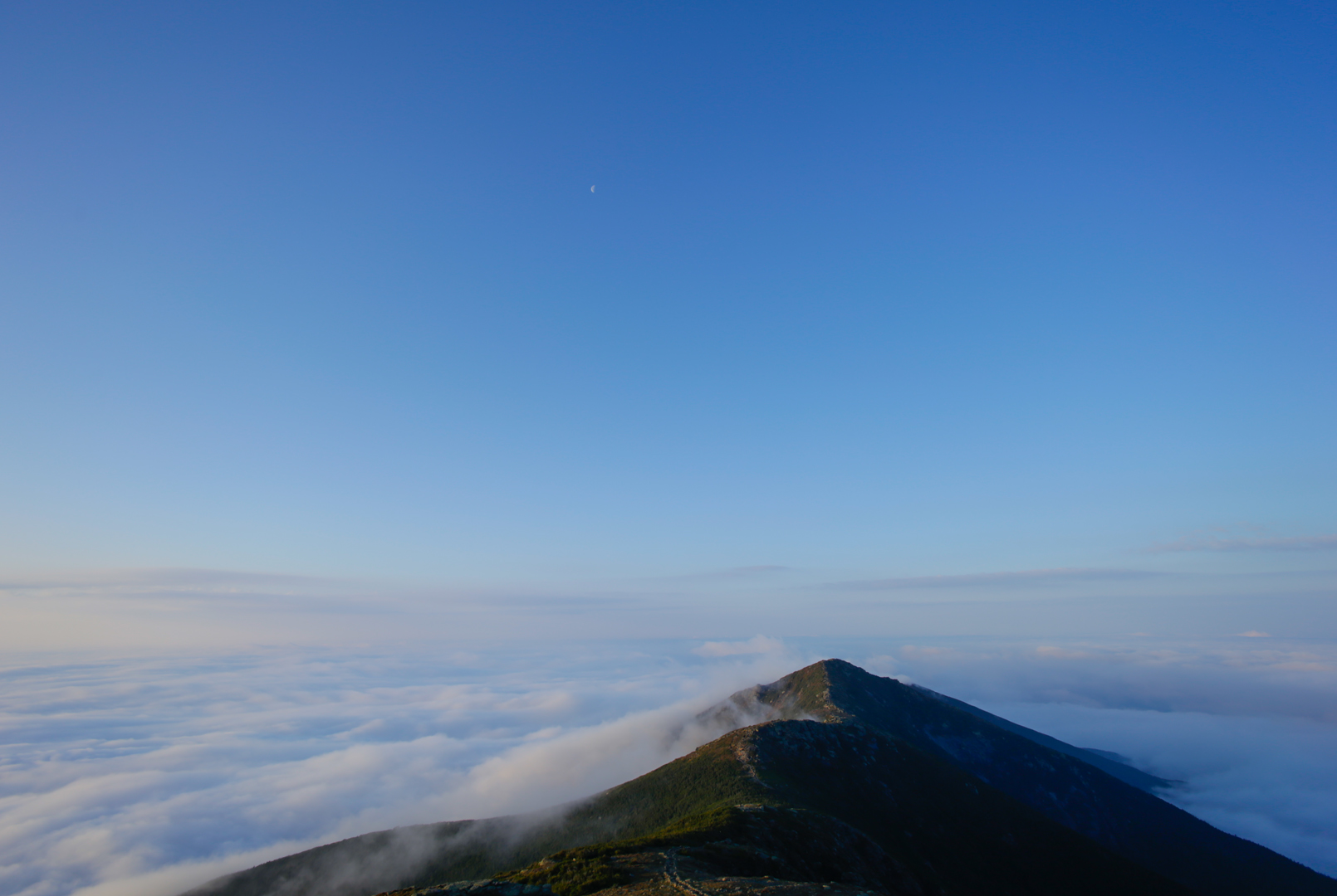 Photo de nature par Simon Bernier-Bilodeau